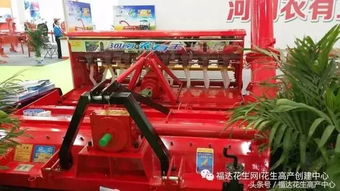 农民朋友种植花生机械化 多种款花生播种收获摘果机器供你选择