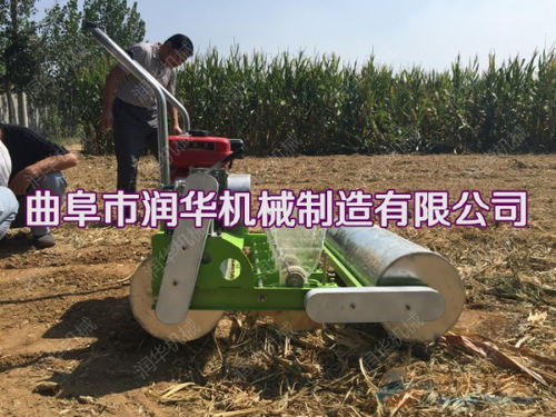 播种机价格 播种机批发 播种机生产厂家