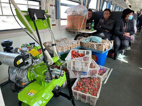 这列途经大凉山的 慢火车 焕新升级