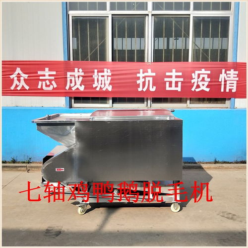家禽批发鸡鸭打毛机